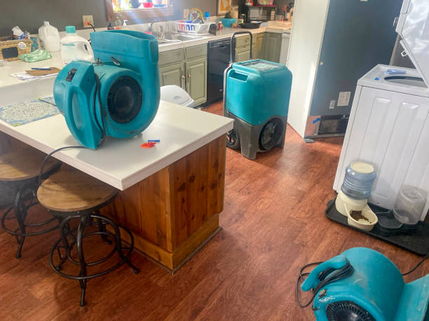 Best Mold removal after water damage  in Millington, NJ