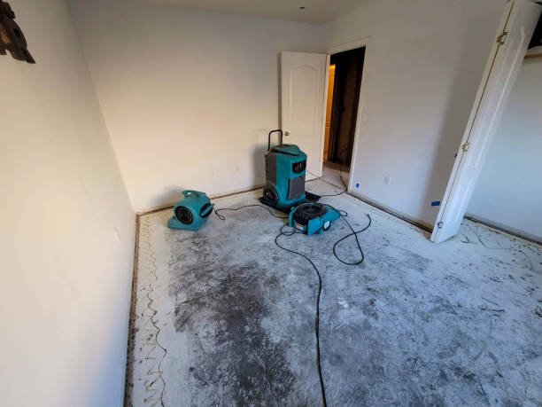 Best Water damage cleanup near me  in Millington, NJ