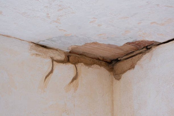 Best Water damage restoration near me  in Millington, NJ