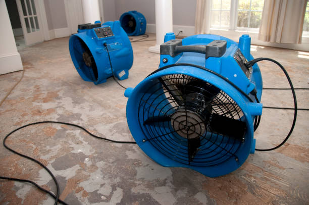 Best Water damage restoration near me  in Millington, NJ